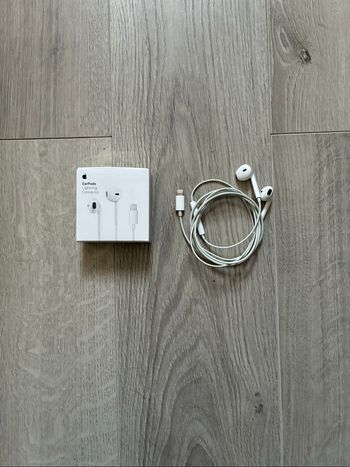 Apple écouteurs EarPods