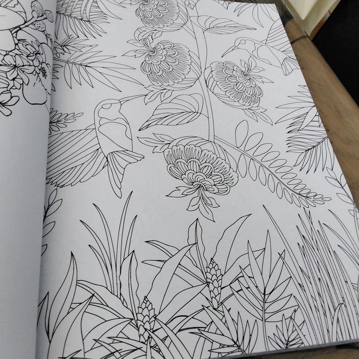 Album coloriage adulte Decotime - photo numéro 8