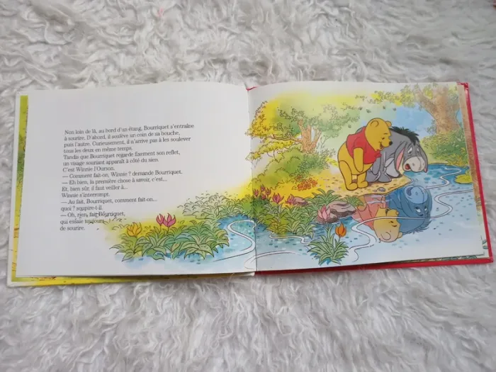 Livre Disney bourriquet - photo numéro 3