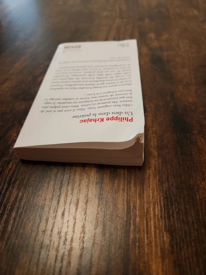Livre : un dieu dans la poitrine - photo numéro 6