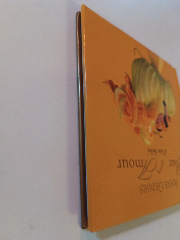 Petit small Livre Book jaune yellow abeille bee photo photographie Anne Geddes bébé baby amour 2003 - photo numéro 6