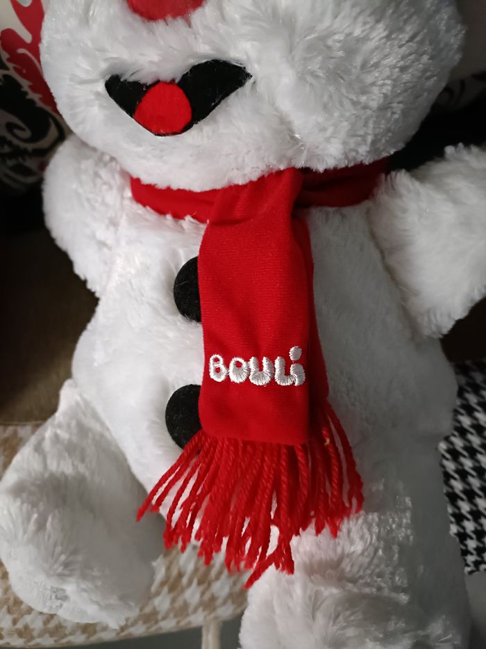 PELCUHE BOULI - photo numéro 3