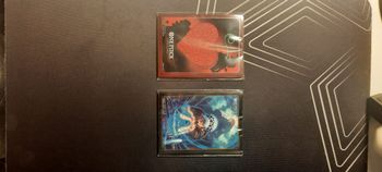 Lot de 2 packet de sleeve rosinante et law devil fruit fruit du bistouri français