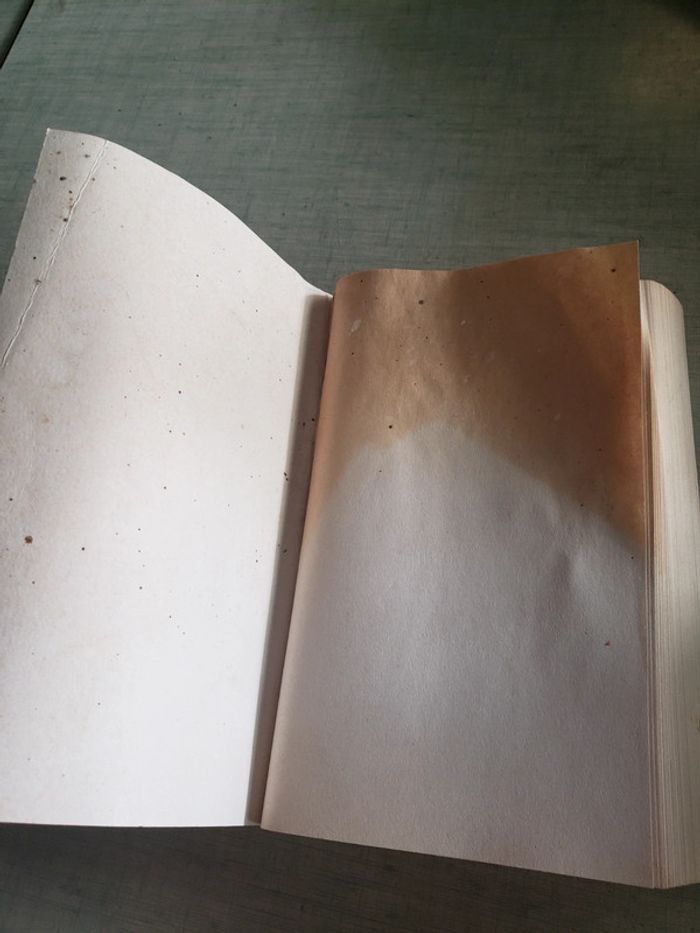 Livre la croisade des enfants - photo numéro 4