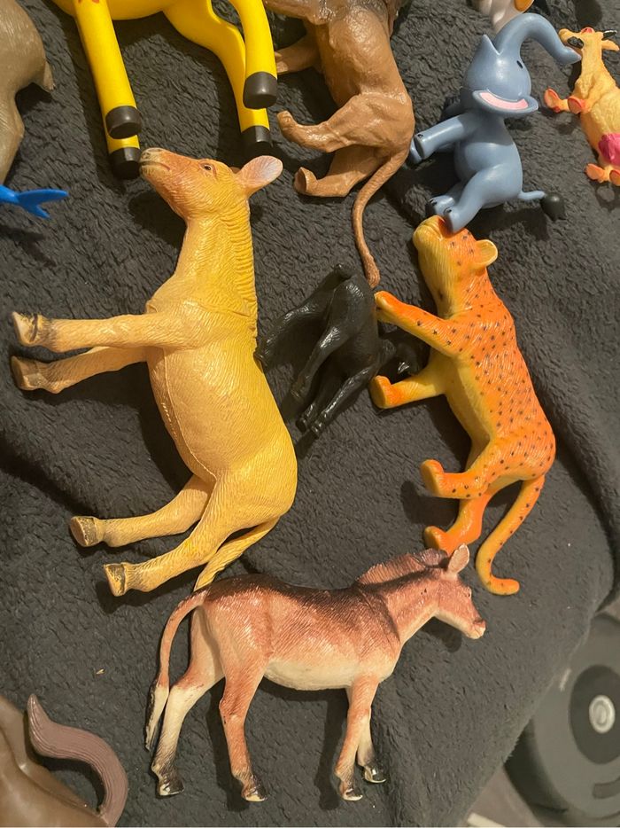 Lot animaux - photo numéro 9