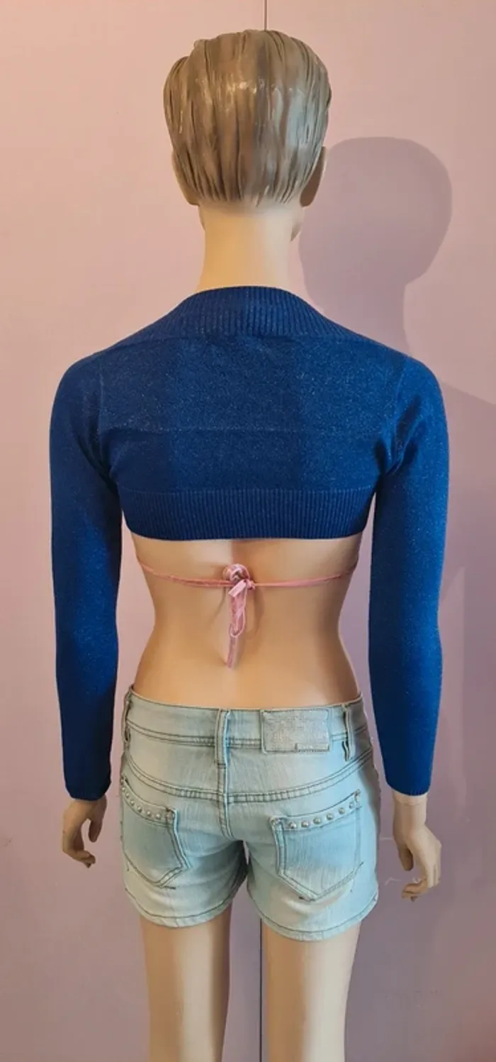 Gilet manche - photo numéro 4