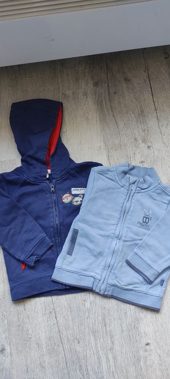 Lot 2 sweats zippés