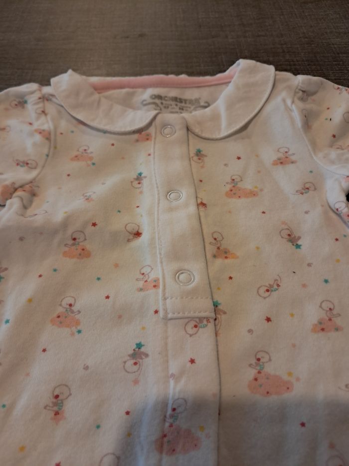 Bodie 6 mois - photo numéro 2