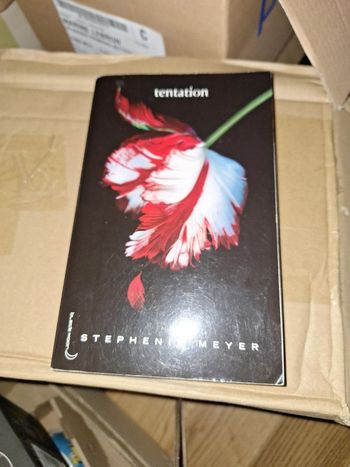 Tentation de Stephanie Meyer