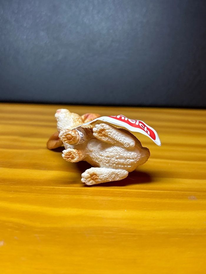 Lapin - photo numéro 3