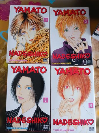 Yamato Nadeshiko T1 à 6
