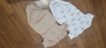 Bodies