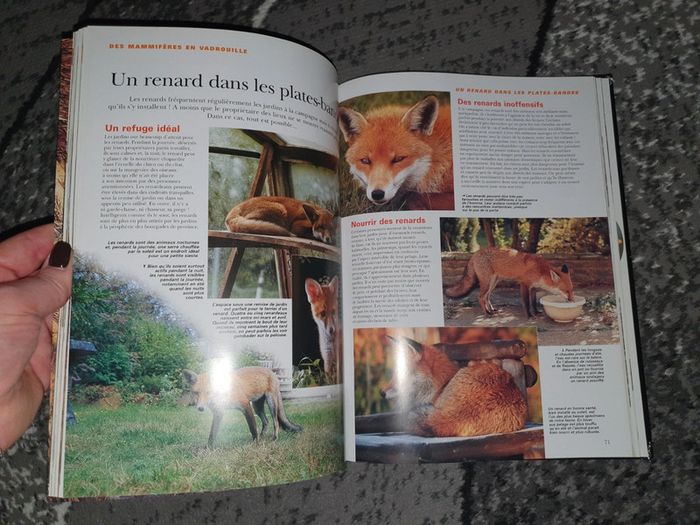 Livre "La vie cachée des jardins" - photo numéro 5