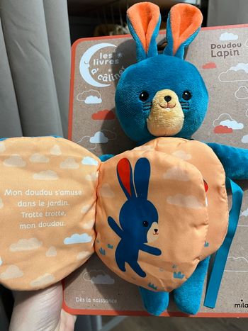 Doudou lapin 