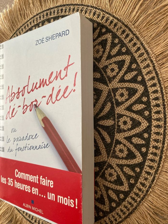 Livre Absolument débordée - photo numéro 2