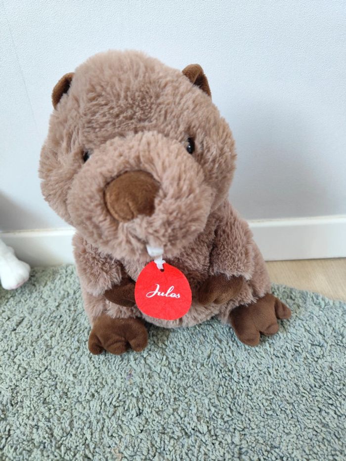 Marmotte Jules