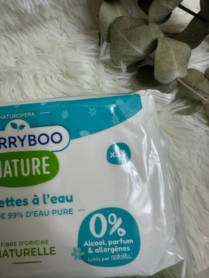 Lot de 4 paquets de lingette Carryboo - photo numéro 2