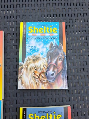 Livre sheltie et le poney aabandonné