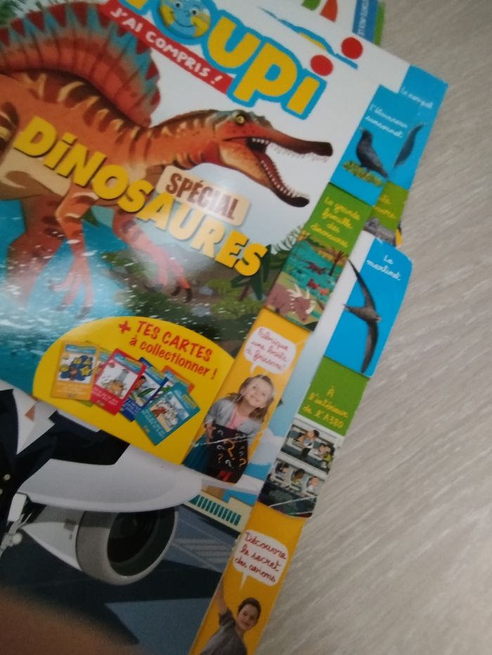 Livres youpi j'ai compris - photo numéro 8