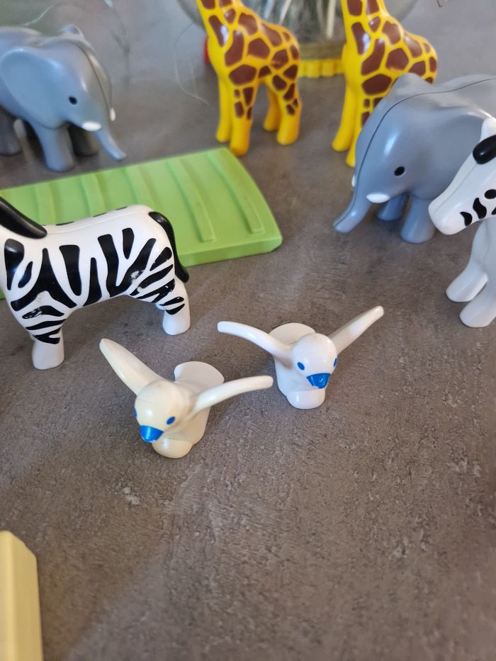 Arche de noe - photo numéro 4