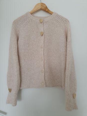 Pull cardigan laine broche dorée