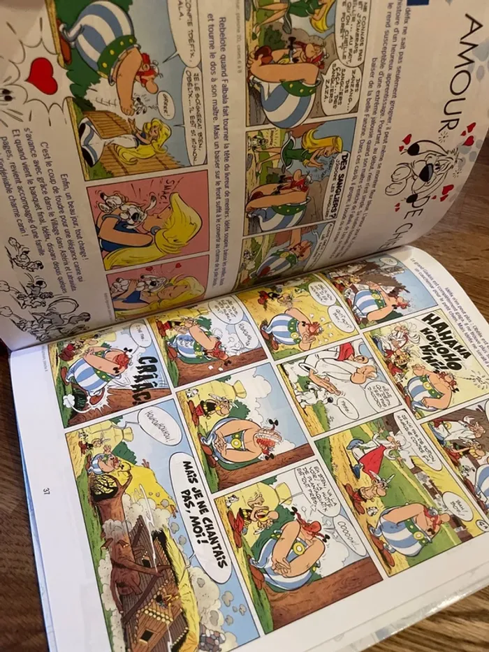 Livre BD Bande dessinée Le meilleur d’Asterix et Obélix Idéfix - photo numéro 7