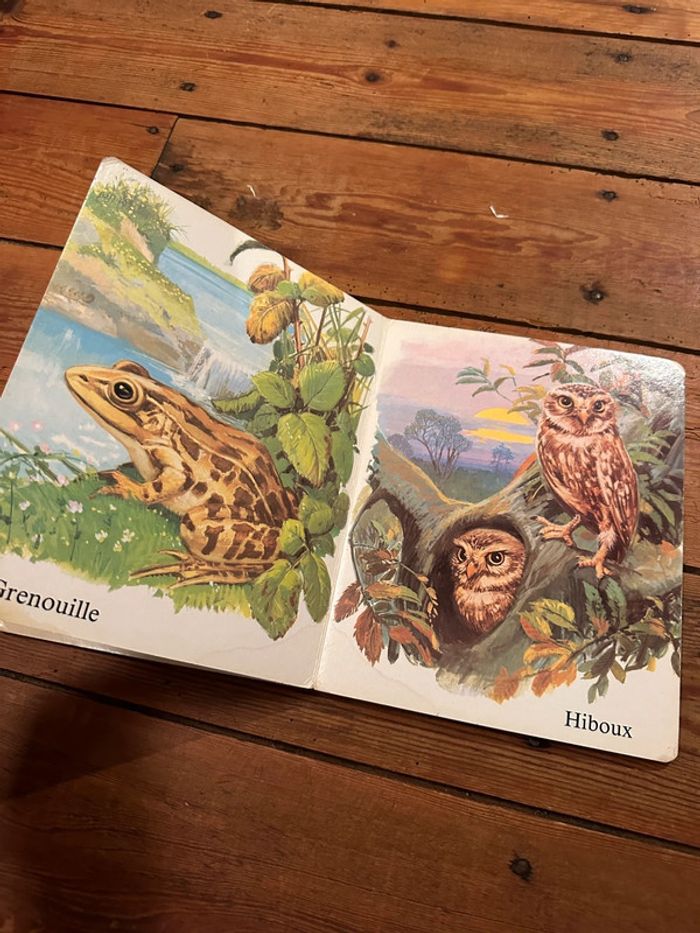 Livre album imagier carton ancien vintage à la campagne animaux forêt Hemma collection Aurore - photo numéro 5