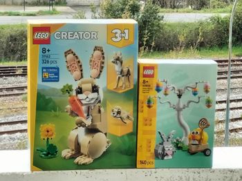 Lego l'adorable lapin et le lapin de Pâques et la chasse aux œufs 