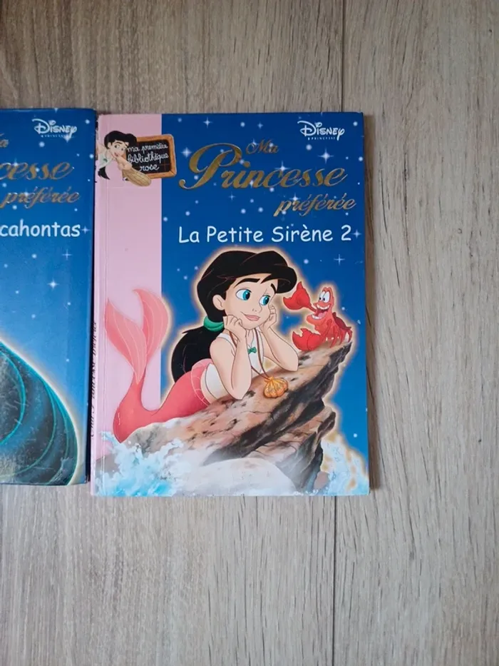 Disney princesse - photo numéro 3