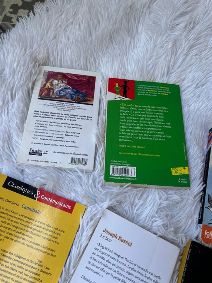 Lot de livres classique, collège et lycée - photo numéro 7