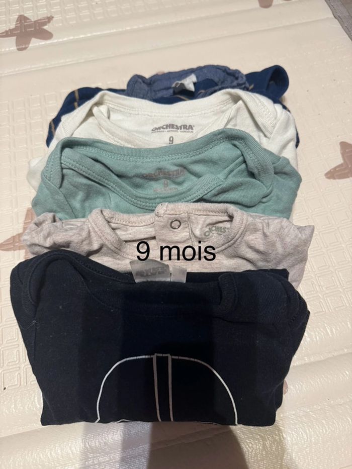 Lot de 5 bodies
