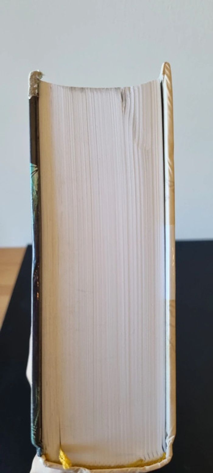 Lyonesse - Intégrale
Jack Vance - photo numéro 8