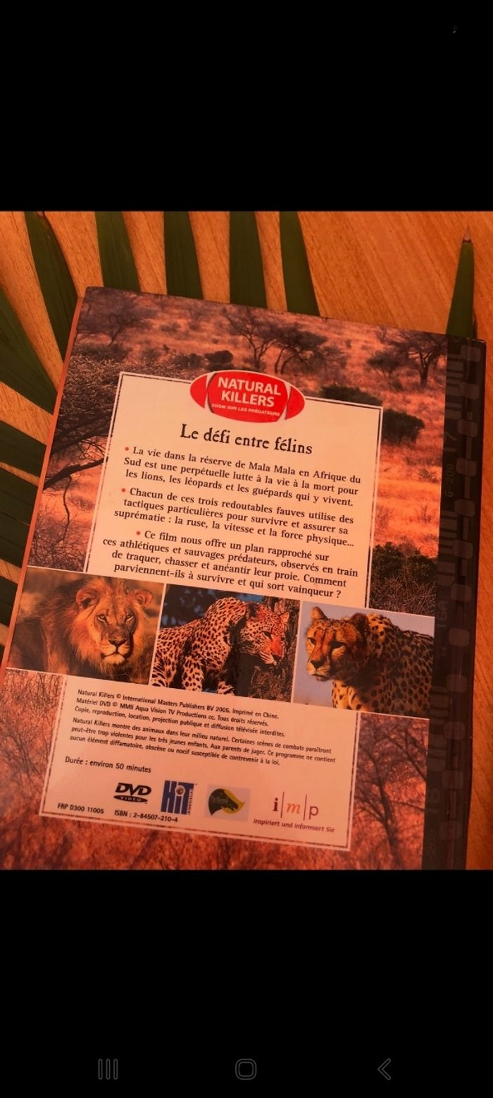 DVD felins - photo numéro 2