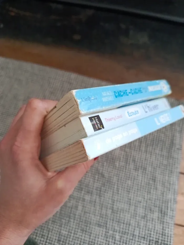 3 livres sur l'hiver - photo numéro 10
