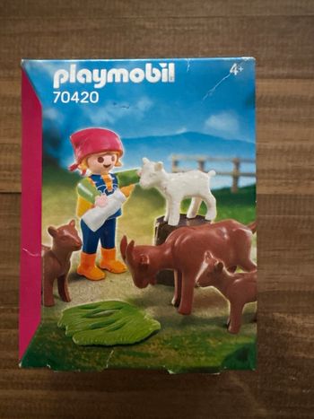 Playmobil 70420