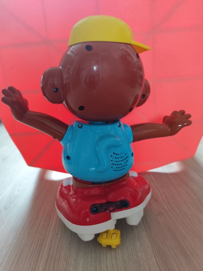 Titi ouistiti - photo numéro 2