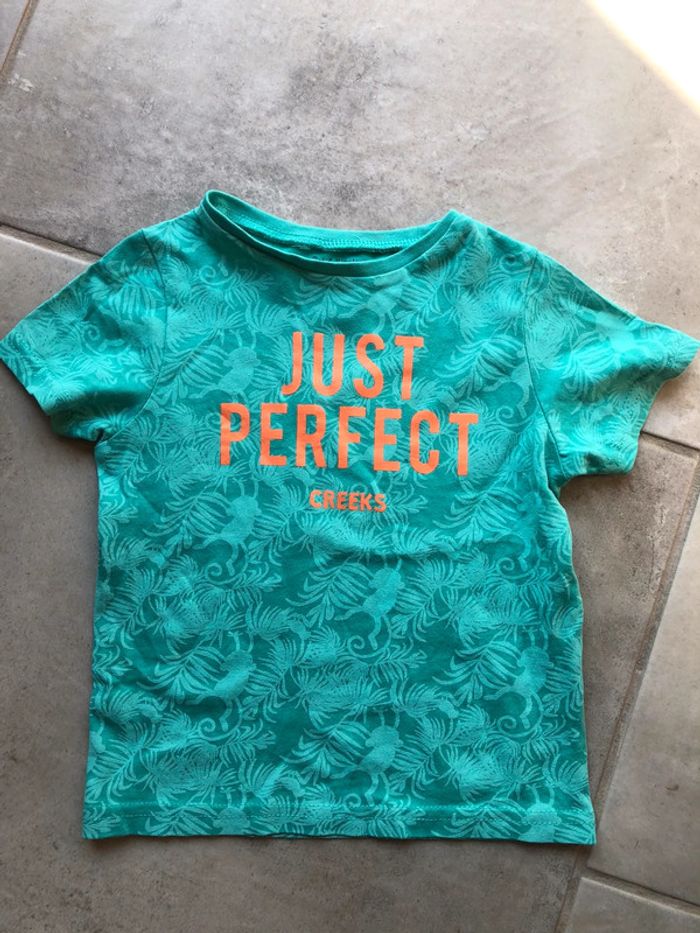 Tee shirt t shirt enfant bébé garçon Pat & Ripaton taille 18 mois