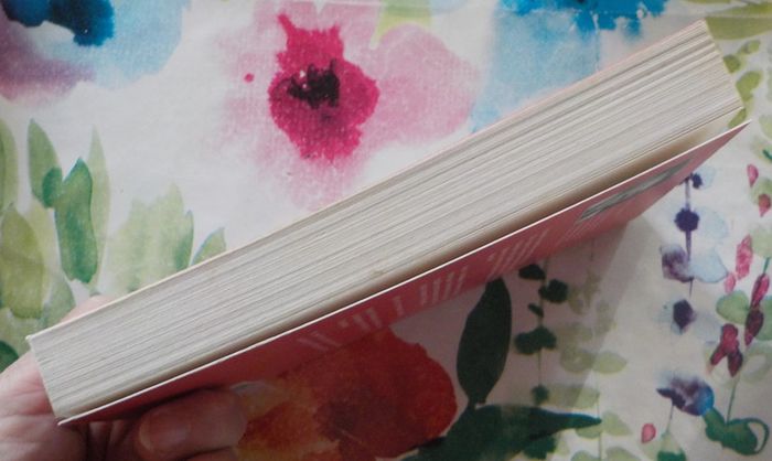 Une enquête de Mary Lester n°12 Aller simple pour l'enfer de Jean Failler - photo numéro 3