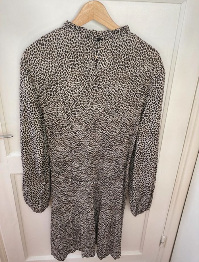 Robe - photo numéro 4