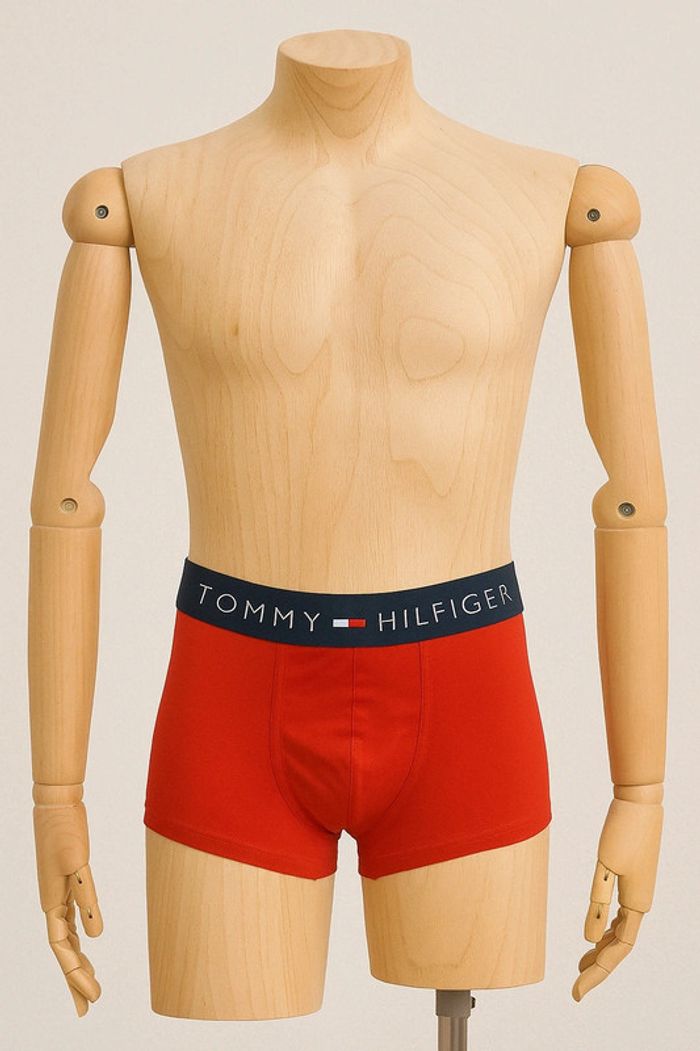 Boxer Tommy Hilfiger