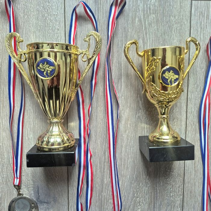 Lot de 5 médailles et 3 coupe sportive - photo numéro 2