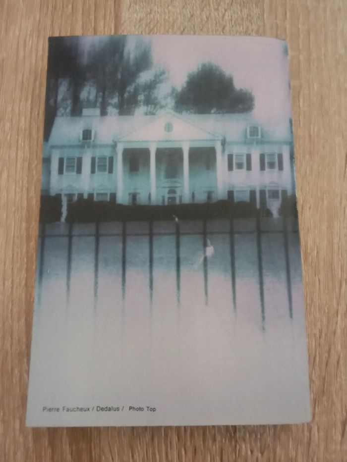 * Anne Green - Mes jours évanouis - photo numéro 2