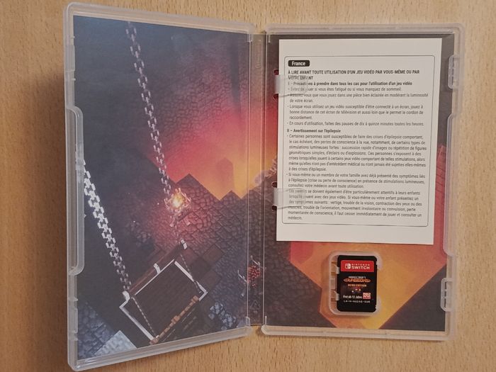 Minecraft Dungeons Switch - photo numéro 2