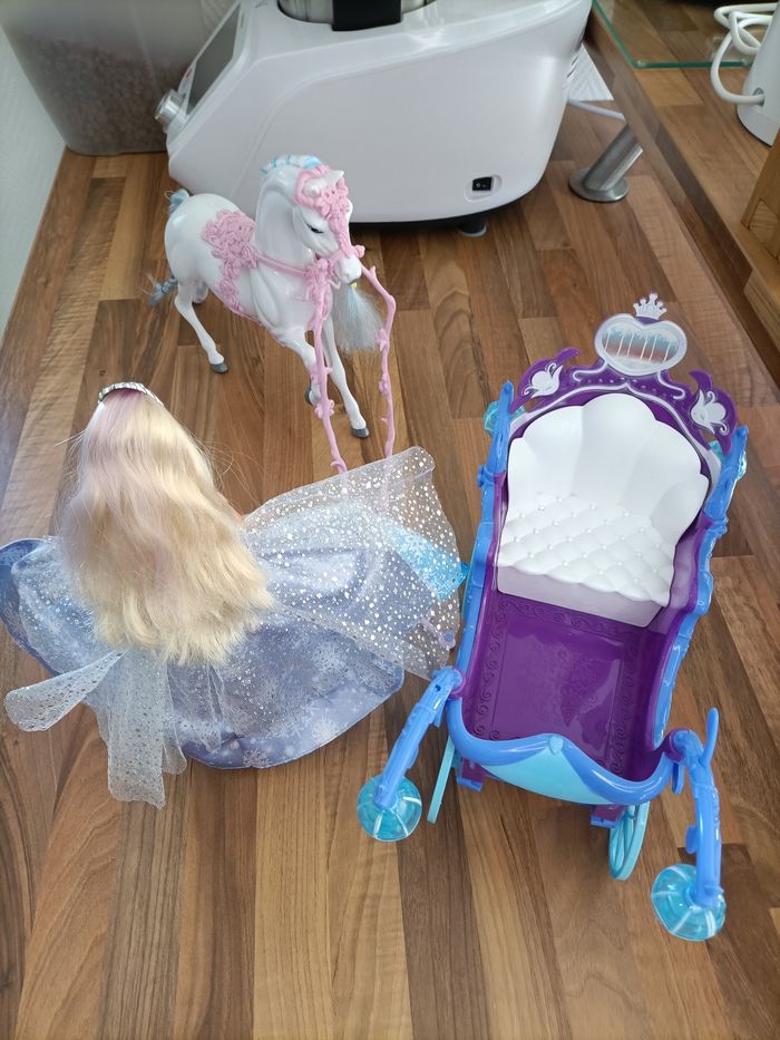 Barbie Princesse Flocon et son carosse - photo numéro 9