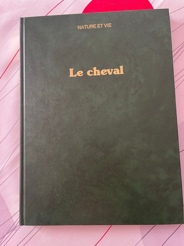 Livre - photo numéro 2