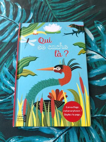 Livre Qui se cache là?