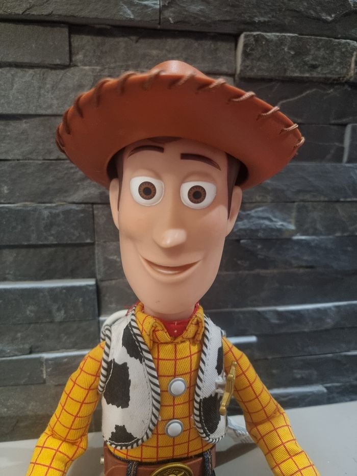Woody - photo numéro 2