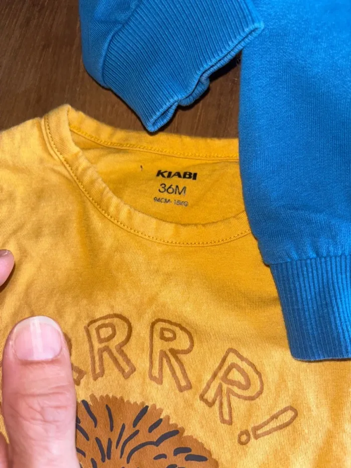Lot de 4 tee shirt manche longue et un pull taille 36 mois - photo numéro 11