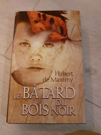 Roman le bâtard du bois noir de Hubert de Maximy