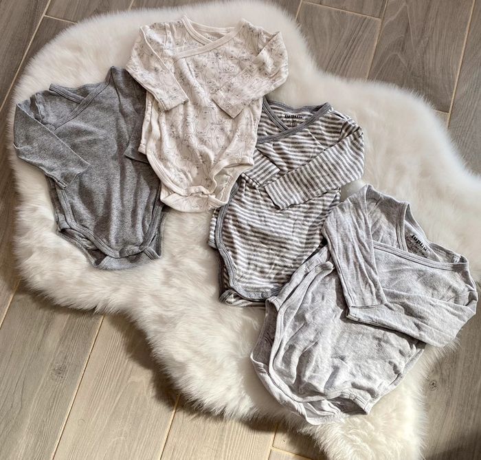 Lot 4 bodies